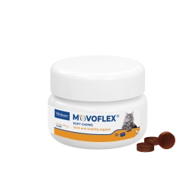 Movoflex Cat